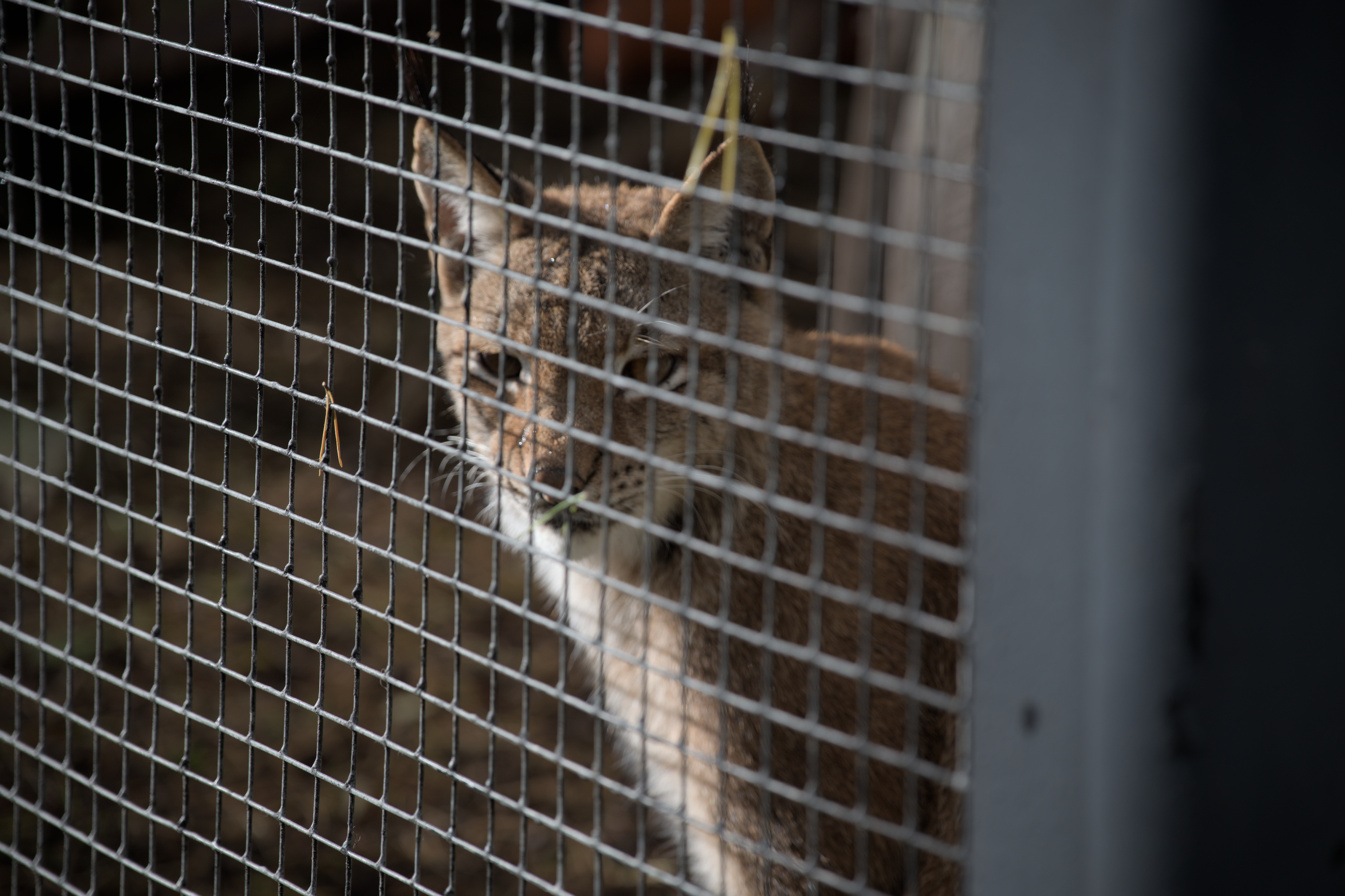 2025/10/12 - zoo/DSC_0351.jpg